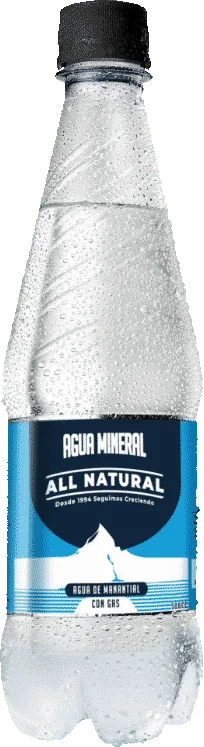Agua mineral ALL NATURAL